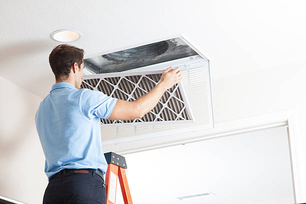 Best HVAC tune-up services  in Forreston, IL